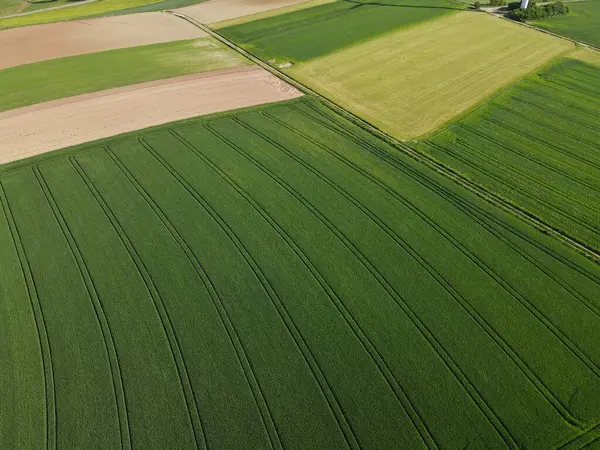 小麦や耕された土壌を持つ農業分野の上からの眺め — ストック写真