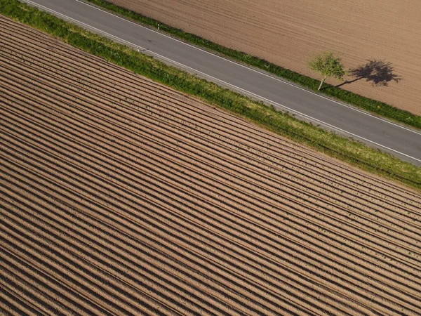 アスファルトの道路と景観の木と耕起フィールドの空中ビュー — ストック写真