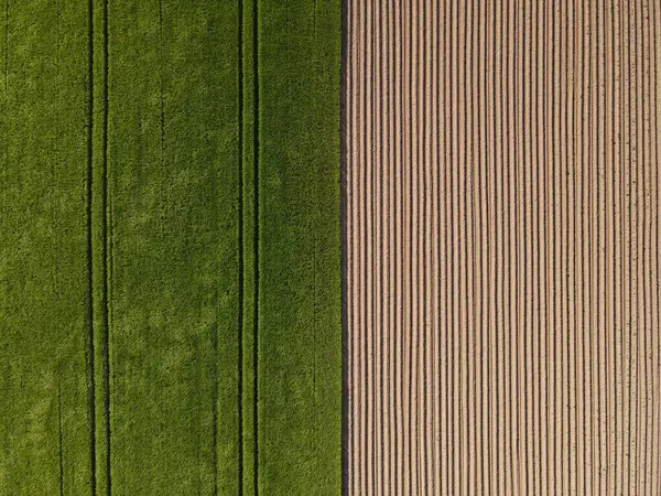 半麦畑と半耕作農地のドローンビュー土 — ストック写真