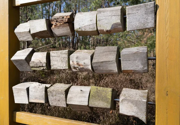 Výstava Dřevěnými Kvádry Lese — Stock fotografie