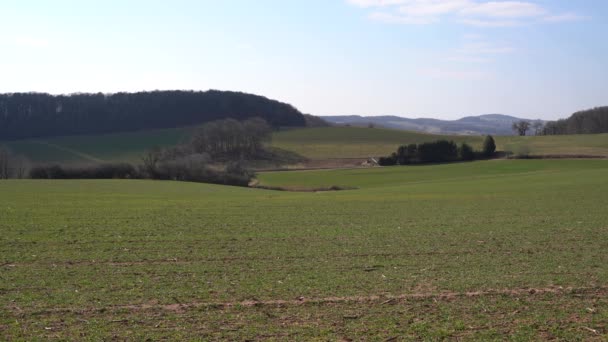 Krajobraz Polami Rolniczymi Drzewami Liściastymi Błękitnym Niebem Wiosną — Wideo stockowe
