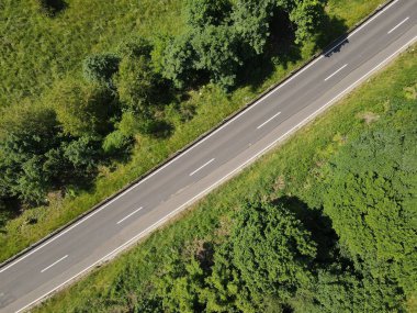 Ağaçlar ve çimenler arasında beyaz çizgili kırsal bir yolun drone görüntüsü 