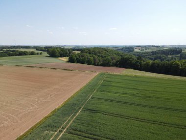 Kahverengi tarlalı tarlaların, yeşil yetişen ekin tarlalarının, ağaçların ve yazın mavi güneşli gökyüzünün havadan görünüşü. 