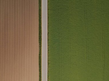 Yazın toprak ve yeşil yetişen ekin tarlaları arasında asfalt bir yolun havadan görünüşü. 