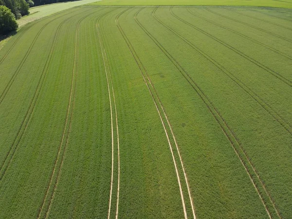 Luftaufnahme Eines Grünen Getreidefeldes Mit Fahrspuren Frühling — Stockfoto