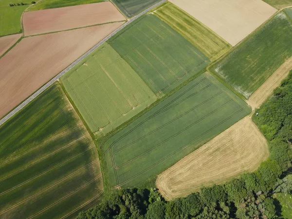 Drone view of green growth crop fields and plowed arable fields with soil in spring
