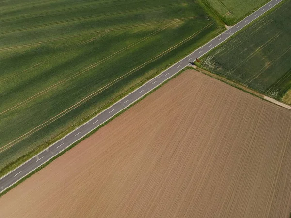 緑の作物 茶色の土壌と真ん中のアスファルトの道路を持つ農業分野の上からの眺め — ストック写真