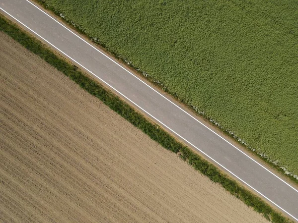緑の作物畑と土壌と茶色の耕起耕地との間の農村アスファルト道路のドローンビュー — ストック写真