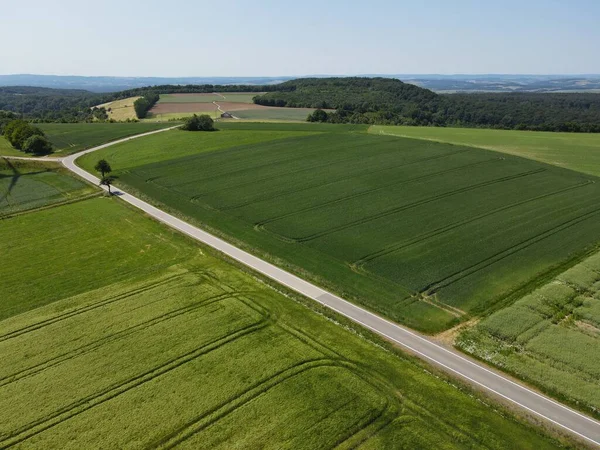 初夏に緑豊かな作物畑 アスファルト道路 青空が広がる風景 — ストック写真