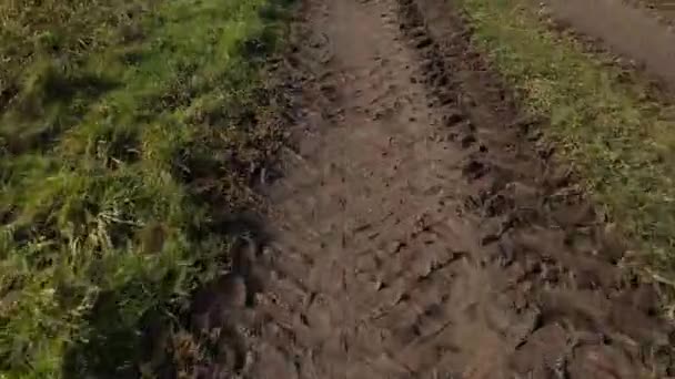 Çiftlik Arazisindeki Traktör Rayları Üzerinde Hızlı Uçuşu — Stok video