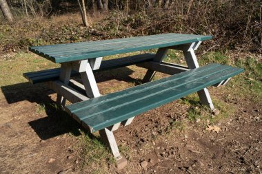 Baharın güneşli bir gününde parkta masası olan yeşil bir bank. 