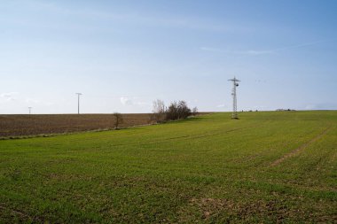 Baharın güzel bir gününde çimen ve toprakla birlikte tarım arazisi 