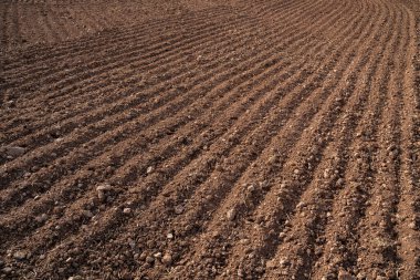 Kahverengi, ilkbaharda tarım toprağı sürmüş.