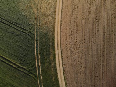 Yeşil ekin tarlası ile kahverengi toprak tarlası arasındaki arazide toprak yol.