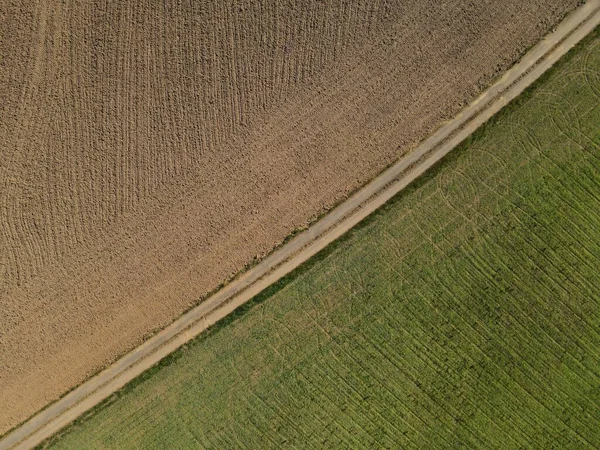 耕された土壌 汚れた道 春の緑の作物畑を持つ農地の空想的な眺め — ストック写真