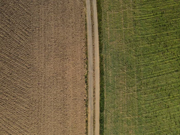 Drone View Dirt Road Plowed Dirt Field Green Crop Field — Stock Photo, Image