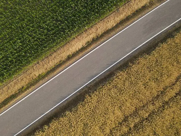 Вид Зверху Асфальтованої Дороги Між Кукурудзяним Полем Стиглим Полем Ландшафті — стокове фото