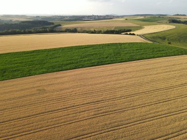 Yazın ekin ve mısır tarlaları olan bir kırsal. 
