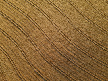 Yukarıdan kırsal alanda sarı mahsul tarlası 