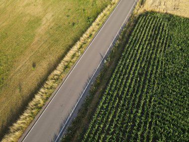 Kırsal bölgelerdeki ekin tarlaları arasındaki bir yolun havadan görünüşü 