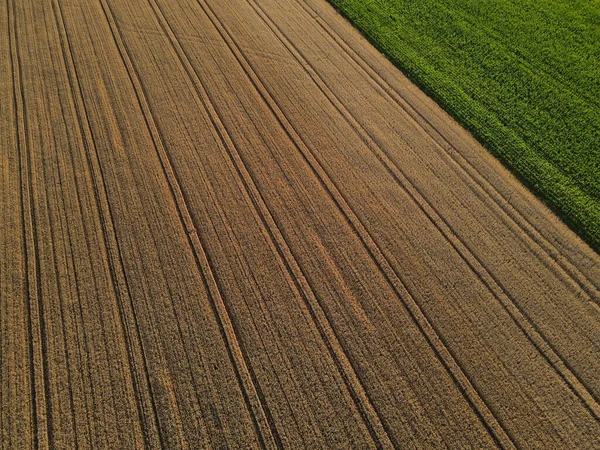 Αεροφωτογραφία Ενός Αγροτεμαχίου Χωράφι Καλαμποκιού Στην Ύπαιθρο Καλοκαίρι — Φωτογραφία Αρχείου