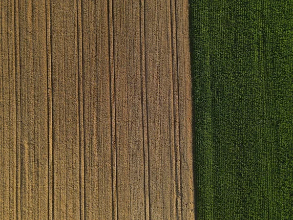 Αεροφωτογραφία Της Καλλιέργειας Και Του Καλαμποκιού Στην Ύπαιθρο Καλοκαίρι — Φωτογραφία Αρχείου