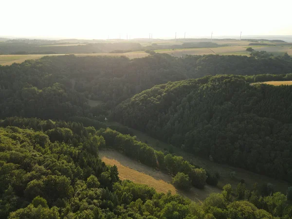 Yazın güneşli bir akşamda yukarıdan orman 
