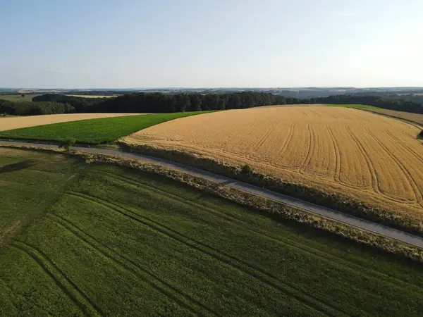 Drone Vista Paisaje Con Campos Cultivo Oro Verde Verano — Foto de Stock