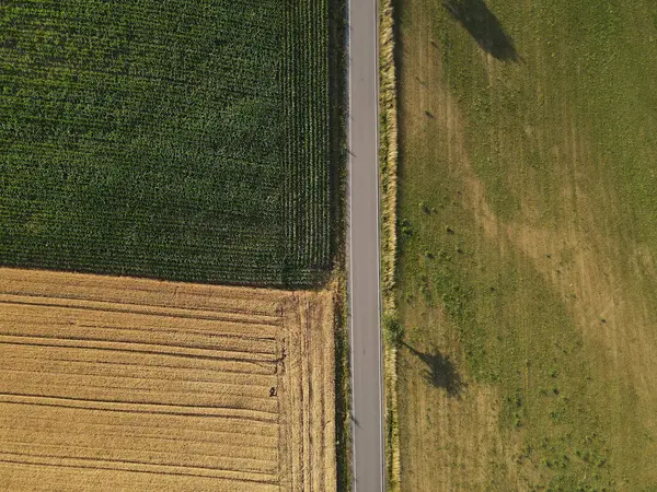 Vista Drone Uma Estrada Entre Campos Cultivo Campos Gramíneas Campo — Fotografia de Stock