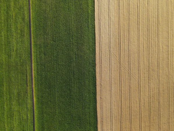 위에서 시골의 옥수수 필드와 — 스톡 사진