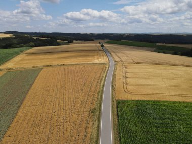 Yazın olgun mahsul tarlaları arasında yol olan kırsal bölge. 