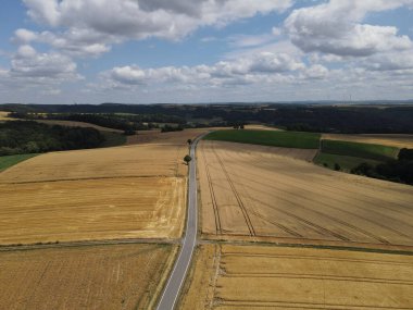 Yazın olgun mahsul tarlaları arasında yol olan kırsal bölge. 