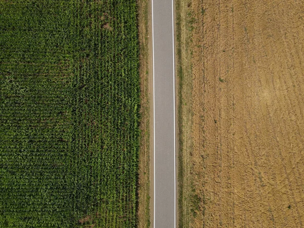 필드와 시골에서 옥수수 사이의 도로의 위에서 — 스톡 사진