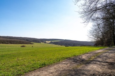Baharda güneşli bir günde çimen ve ağaçlarla kaplı bir manzara. 