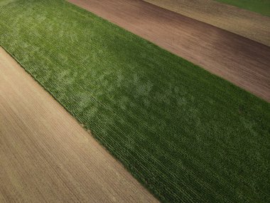 Yukarıdan kırsal bölgelerde mısır ve toprak tarlaları 