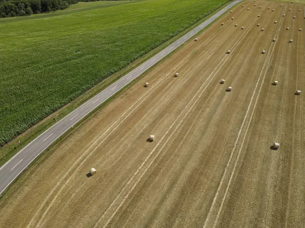 Bir mısır tarlası ile saman balyalarıyla dolu bir çim tarlası arasındaki arazide uzun bir yol. 