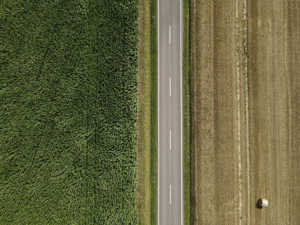 Drone Uitzicht Een Weg Tussen Landbouwvelden Het Landschap — Stockfoto