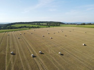 Kırsalda saman balyaları 