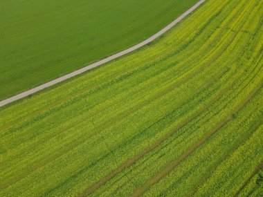 Kırsal kesimdeki yeşil tarım arazileri arasındaki yolun en üst görüntüsü 
