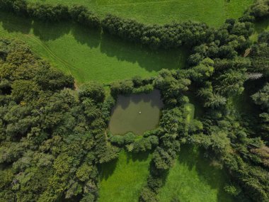 Ortasında küçük bir gölet olan ormanın insansız hava aracı görüntüsü 