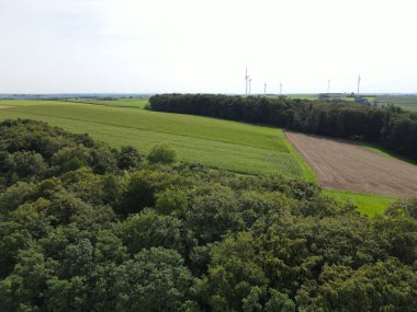 Yazın orman ağaçları, tarlalar ve rüzgar türbinleriyle manzara 