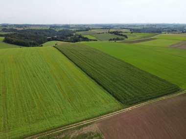 Tarımsal tarlaları ve ağaçları olan bir kırsal bölgeden bak 