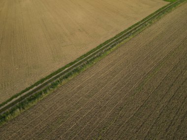 Ortasında bir köy yolu olan tarlaların üstünden görünüm 