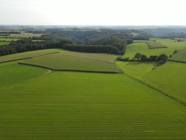 Yeşil tarım alanları ve ağaçların olduğu bir manzara manzarası 