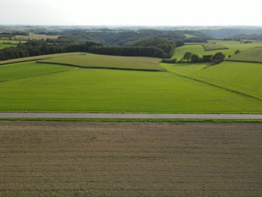 Kahverengi ve yeşil tarım arazileri, ağaçlar ve yazdan kalma bir yol manzarası 