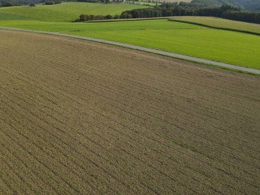 Tarlaları tarlaları, otları, ağaçları ve yazları bir yolu olan bir kırsal bölge. 