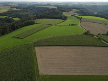 Kırsal kesimdeki tarım alanlarının yukarısından görüntüle 