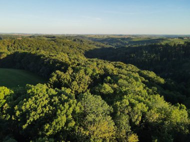 Güneşli bir akşamda bir ormanın havadan görünüşü 