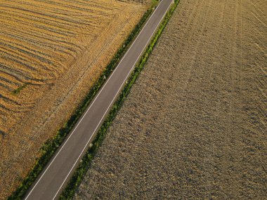 Arazideki tarım arazileri arasındaki bir yolun havadan görünüşü 