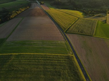 Güneşli bir akşamda tarla tarlaları arasında yol olan kırsal bir yerden manzaraya bak. 